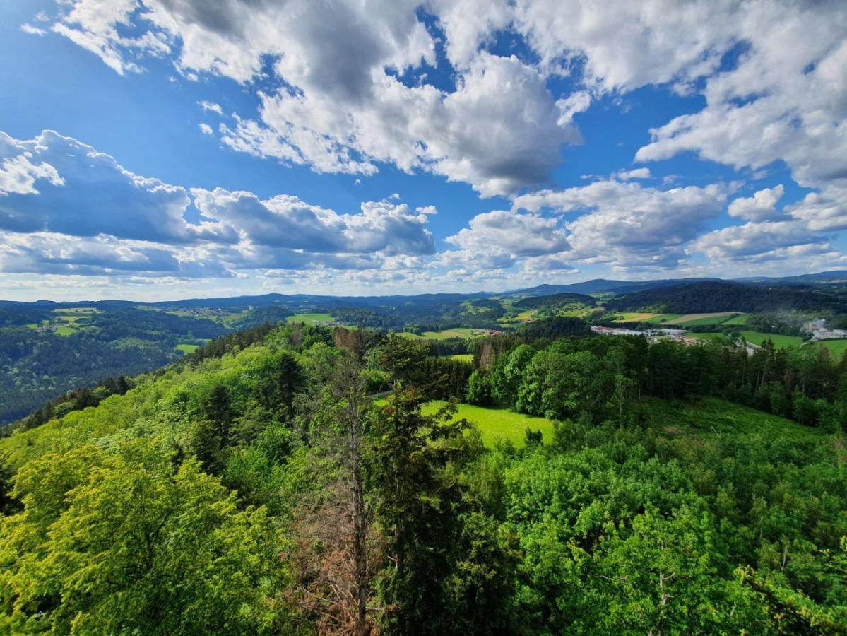Apartament Haus Bergblick Mauth Zewnętrze zdjęcie